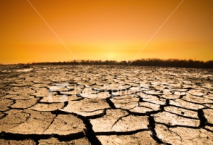 Países mais pobres não estão preparados para enfrentar a seca e a desertificação